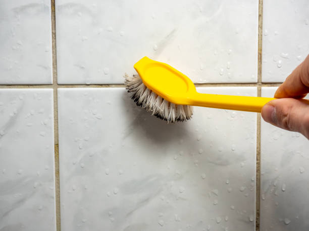 Best Basement Mold Remediation in Napervle, IL