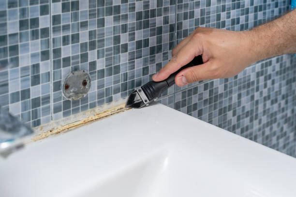 Best Commercial Mold Remediation in Napervle, IL